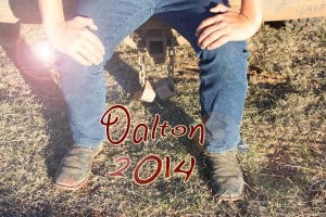 Dalton 2014